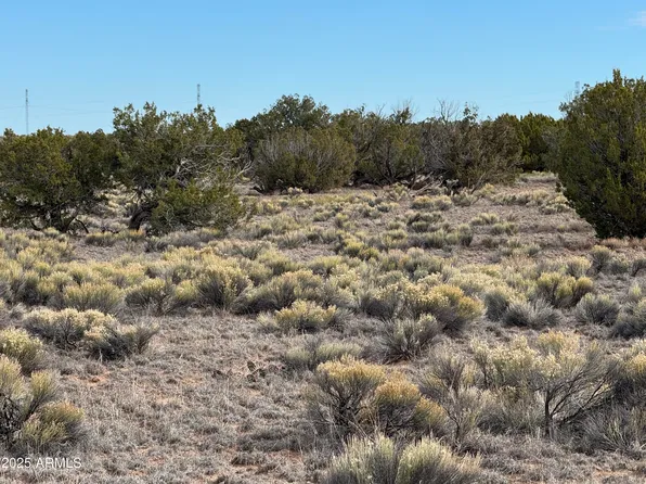 Lot 338 Sierra Highlands Ranch -- #338, St Johns, AZ 85936