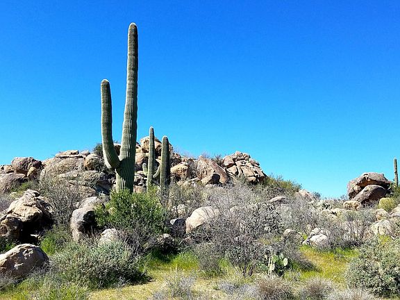 5th image of 1481 W Tortolita Mountain Cir #281