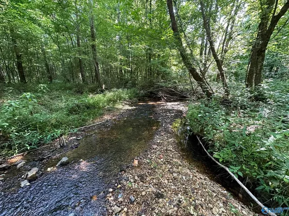 42 Acres Lane Rd, Cherokee, AL 35616