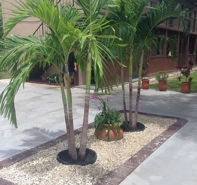 Front Garden