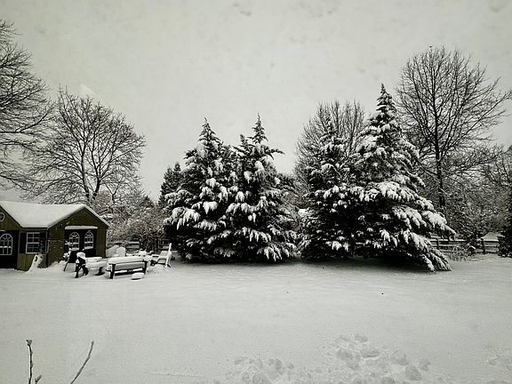 View of the backyard in the winter