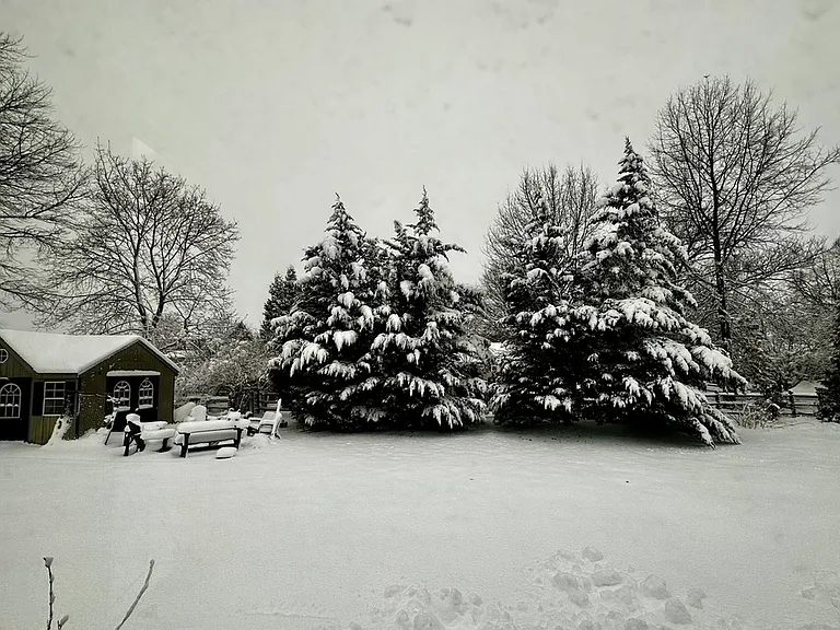 View of the backyard in the winter