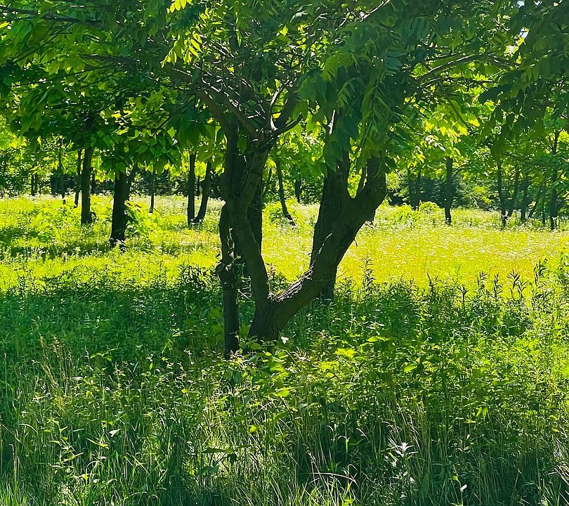 1st image of 14000 Road
