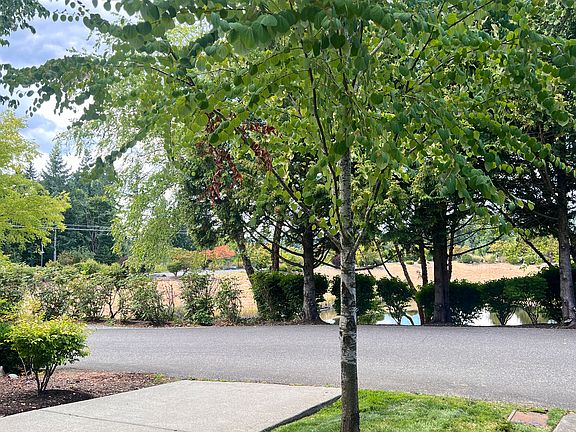 3rd image of 2340 NE Park Dr