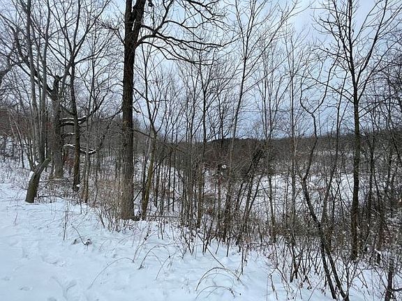 3rd image of Lake Bernice Dr