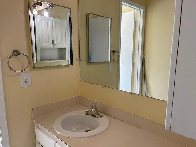 Main floor sink vanity