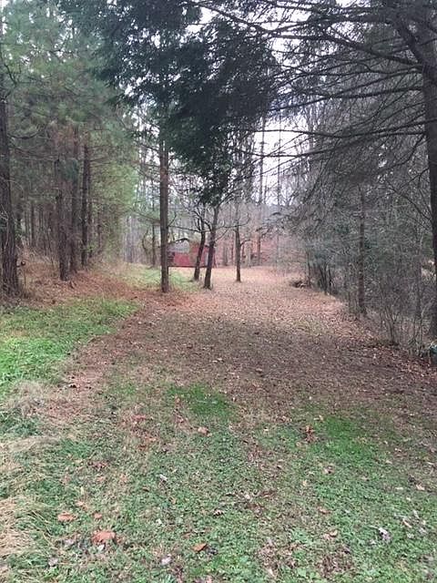 2nd image of 277 Cattlemans Rd