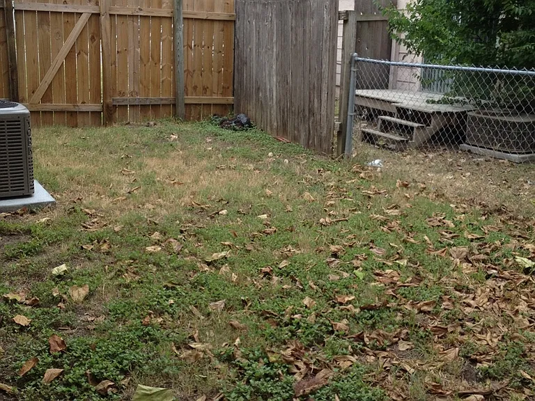 3611CH — Photo 14