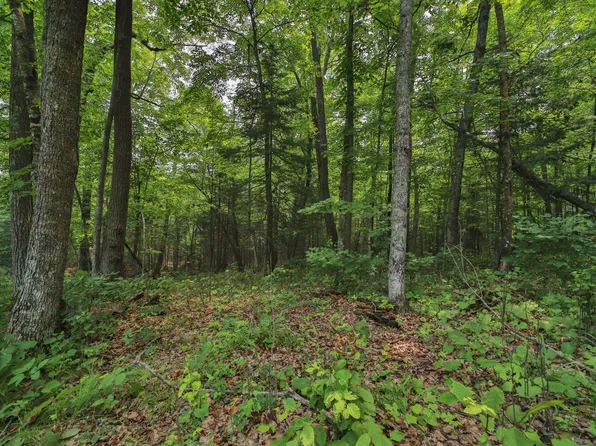 178th Lane Garden Ln, McGregor, MN 55760