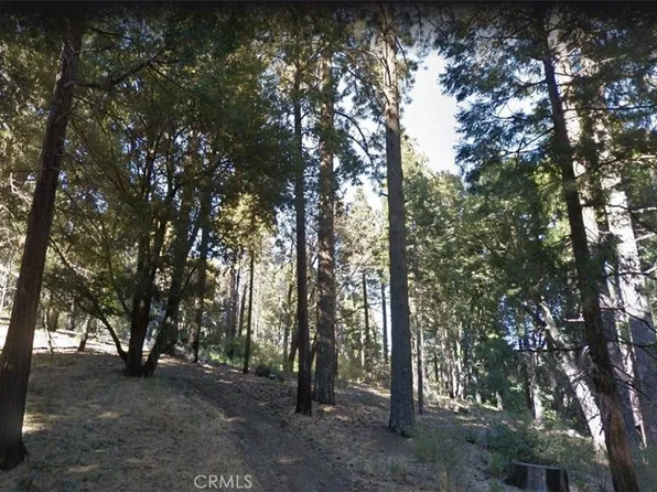 59 Mojave River Rd Lot 67, Cedarpines Park, CA 92322