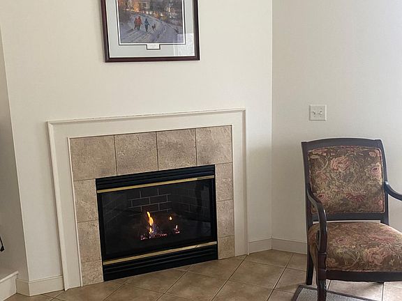 Gas fire place
