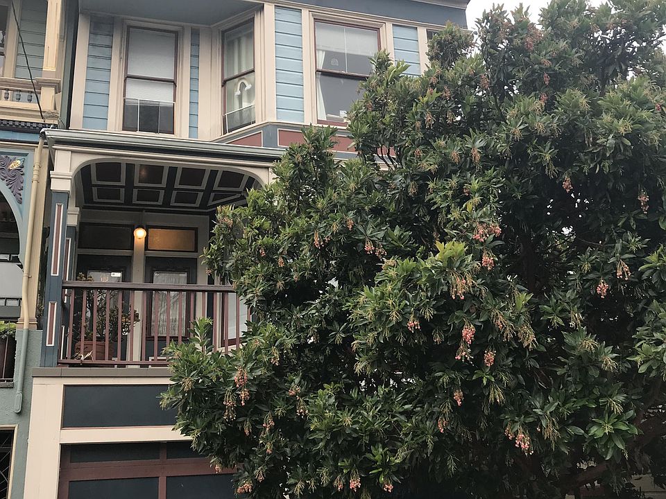 1st image of 1522-1524 Fulton St #1522-G