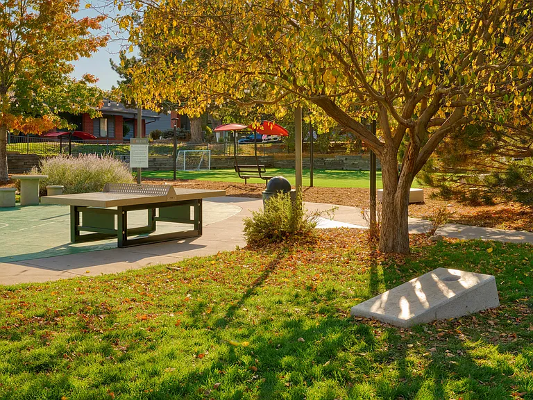Sports Court