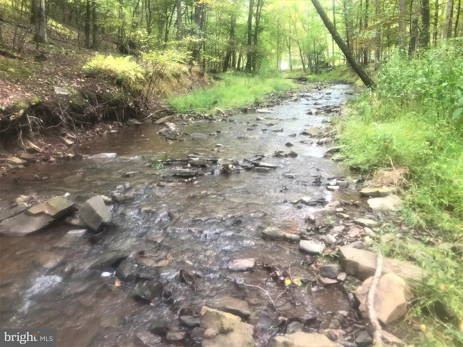 62 Lake Dr photo 1