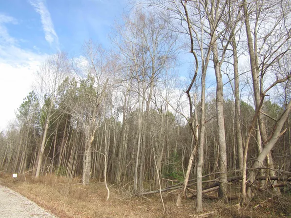 TRACT 1 State Highway 231 Lot 1, Spring Hope, NC 27882