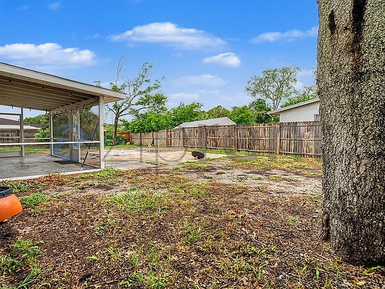 Backyard 2