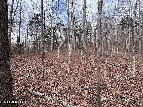 4th image of 0 Buffalo Cove Rd