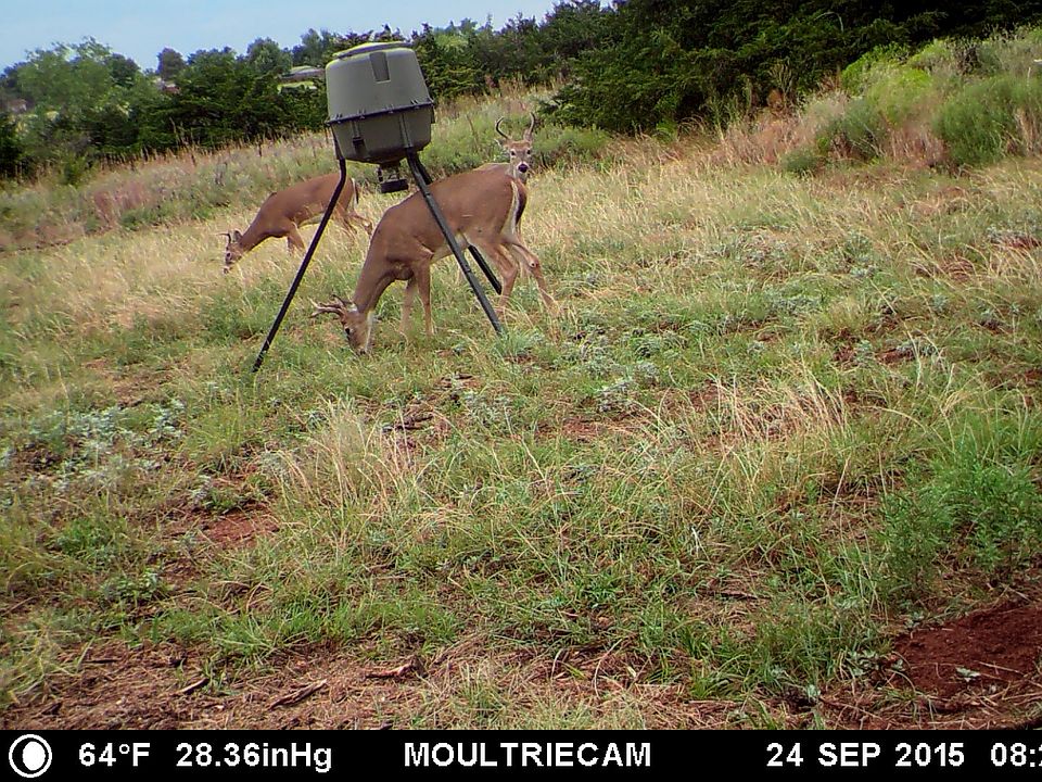 2nd image of 23979 E 1047 Rd