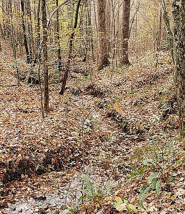 5th image of 2757 Hwy 282 Parcel 0108 028