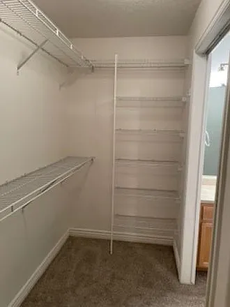 Master walk-in closet