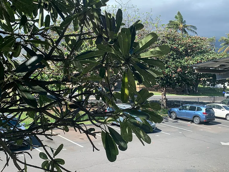 111 Kahului Beach Rd #C215 — Photo 15