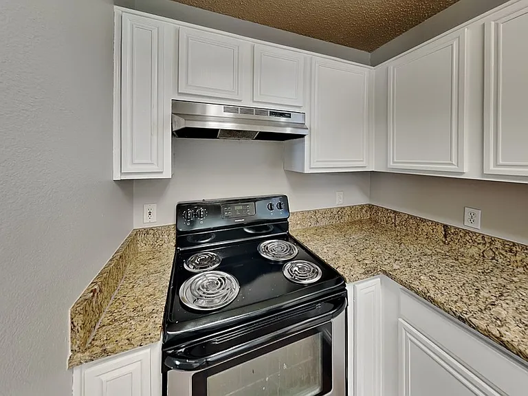 3990 Sarasota Springs Dr — Photo 5