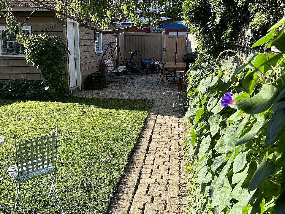 Morning glories cover the backyard fencing all through the summer and fall. The neighbor's peach tree creates a tranquil canopy for relaxing in lush green surroundings.