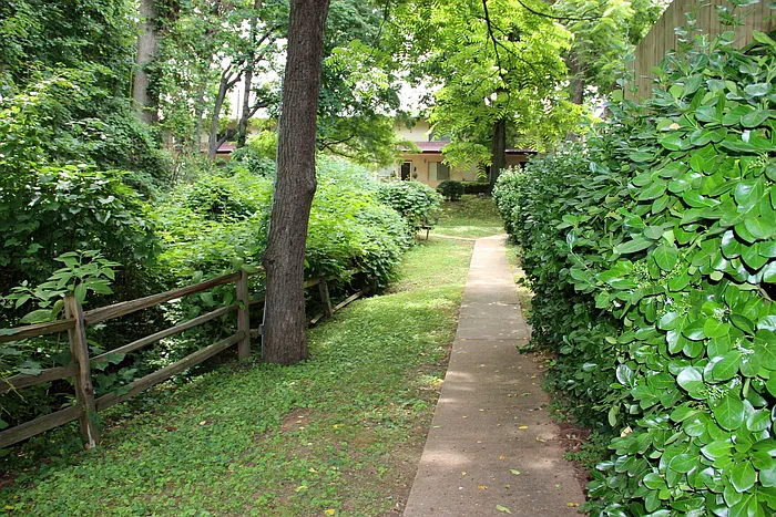 1 bed, 1.0 bath, 700 sqft, $895 — Photo 3