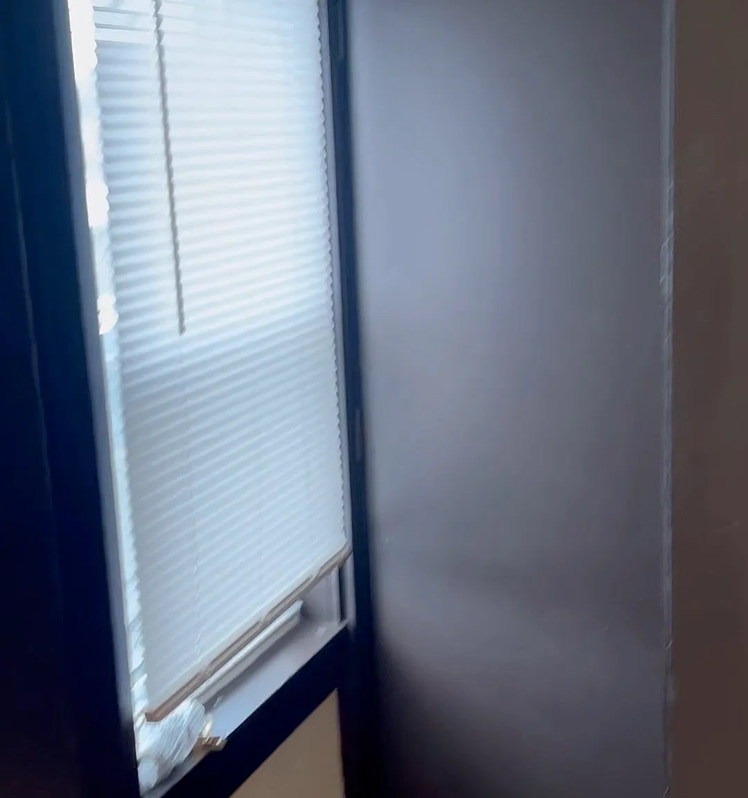 3 bed, 1200 sqft, $2,000 — Photo 2