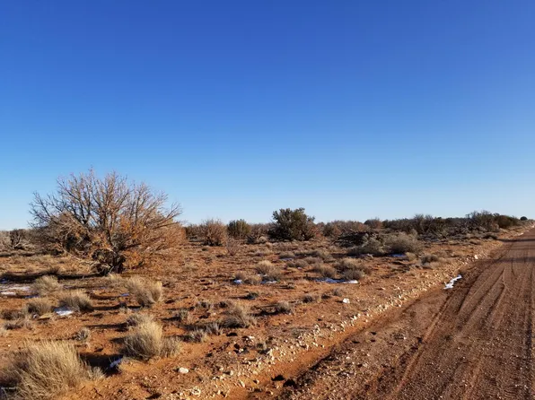 6221 Red Dog Rd, Winslow, AZ 86047