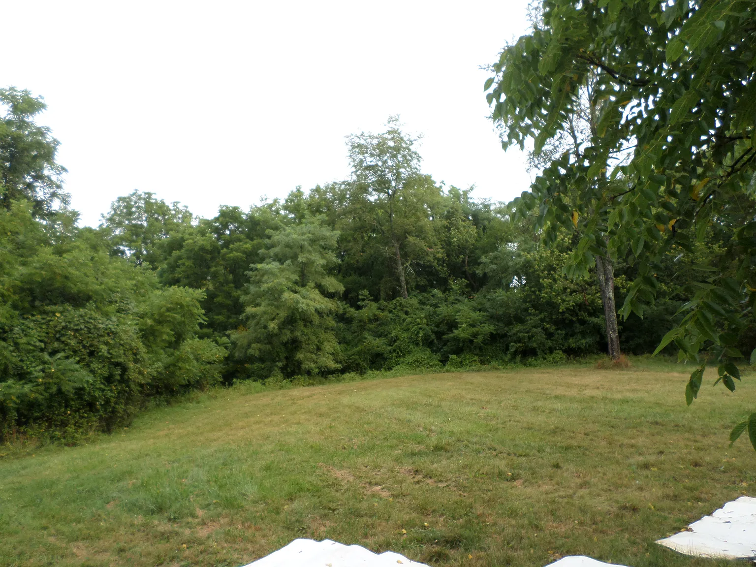 3 bed, 992 sqft, $1,375 — Photo 3