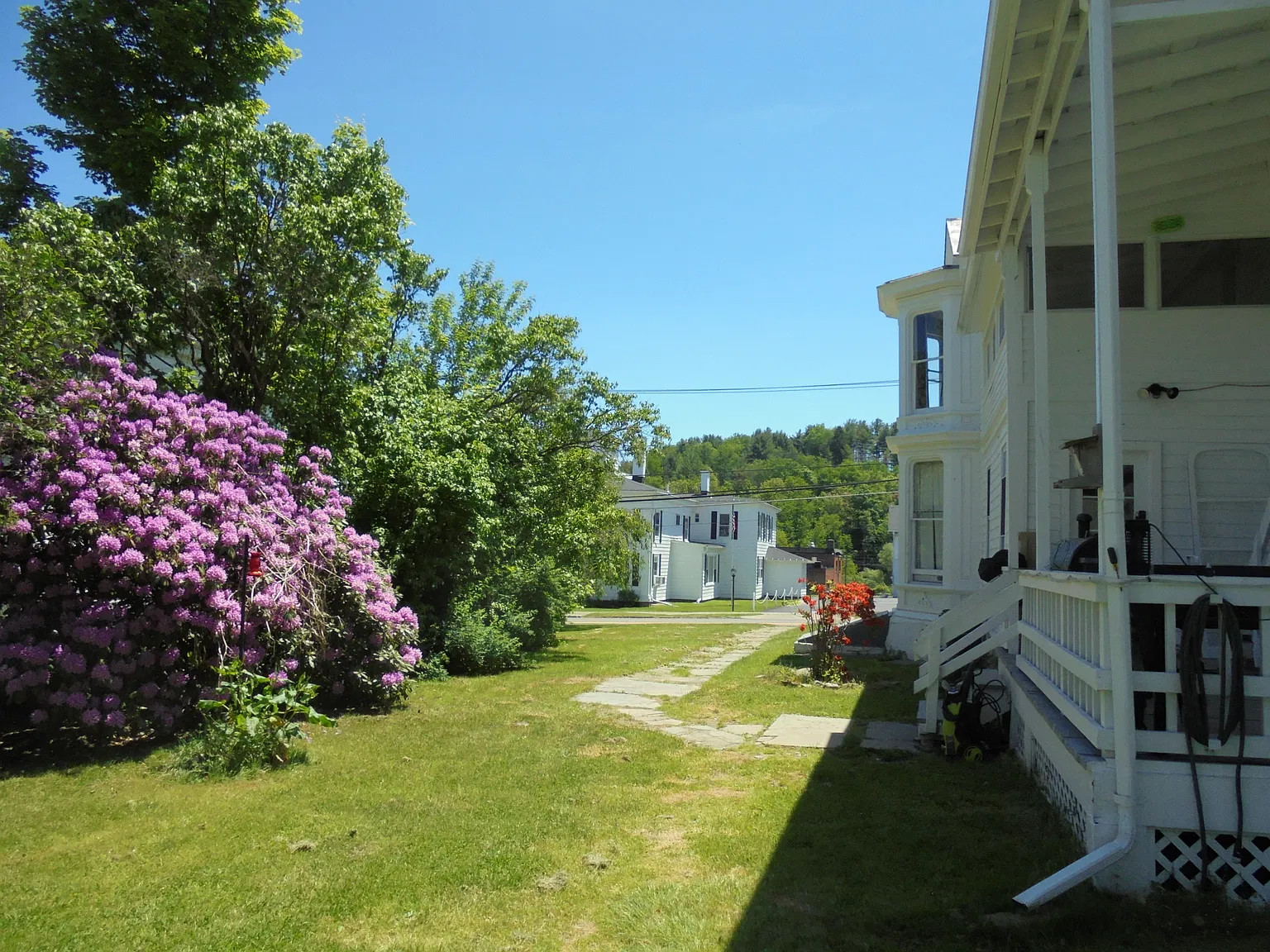 1 bed, 650 sqft, $800 — Photo 3