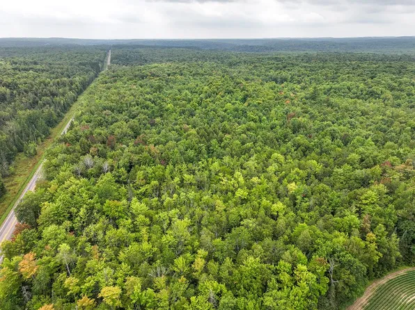 120 Acre Hwy #102, Rib Lake, WI 54470