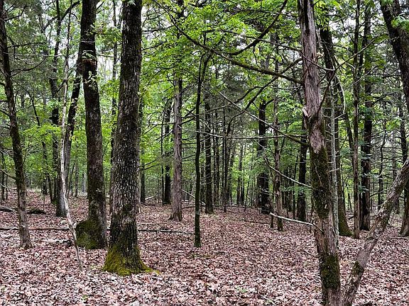 4th image of Lot 40&41 Timber Shoals Road