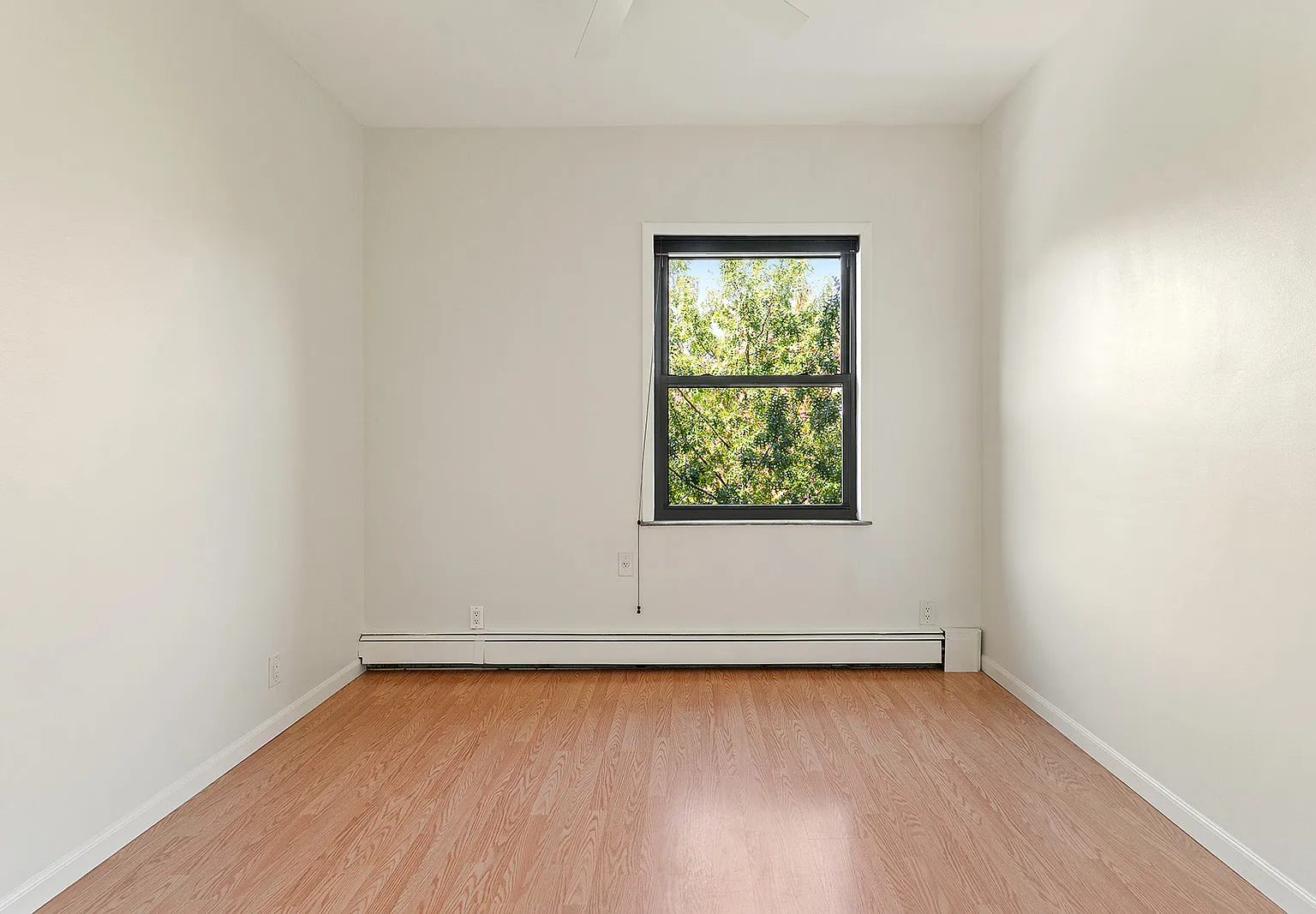 188 Eckford Street — Photo 4