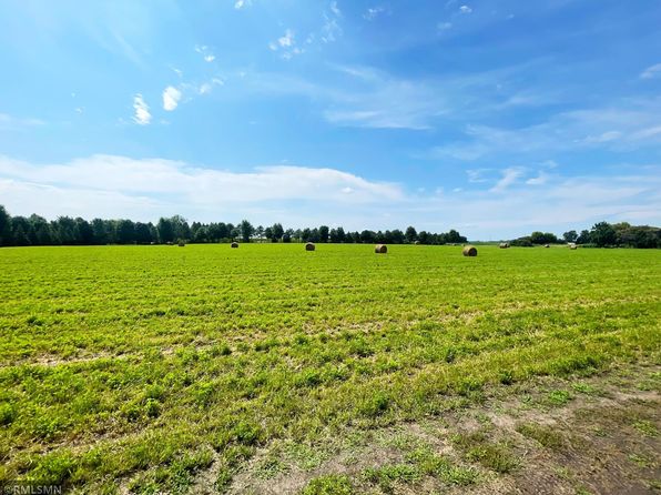 15XX3 60th St SW, Cokato, MN 55321