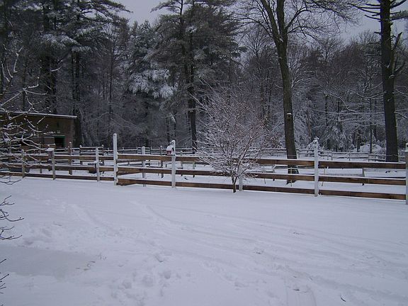 Peace at Muddy Water Farm Fjords