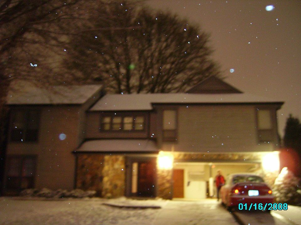 winter