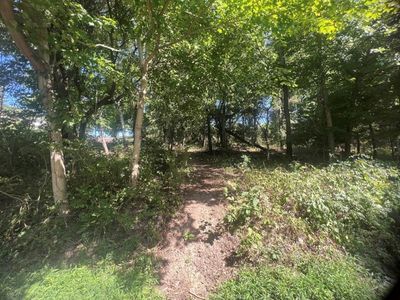 TBD Birch Lane, Wheeling, WV, 26003