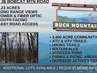Bobcat Mountain Rd #36, Purlear, NC, 28665