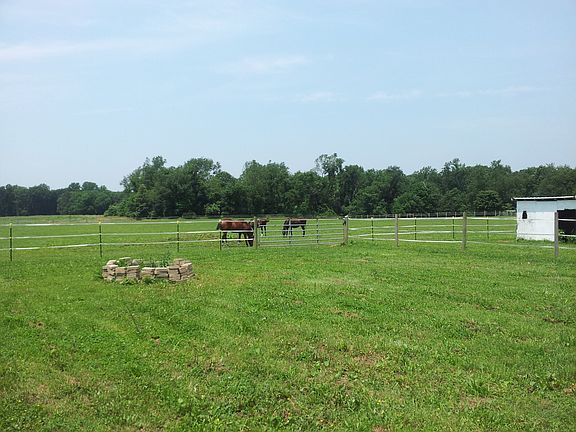Horse Pasture