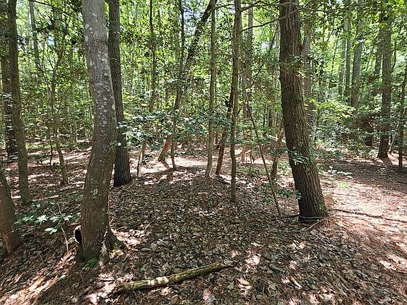 2nd image of 67 Cubitt Creek Rd