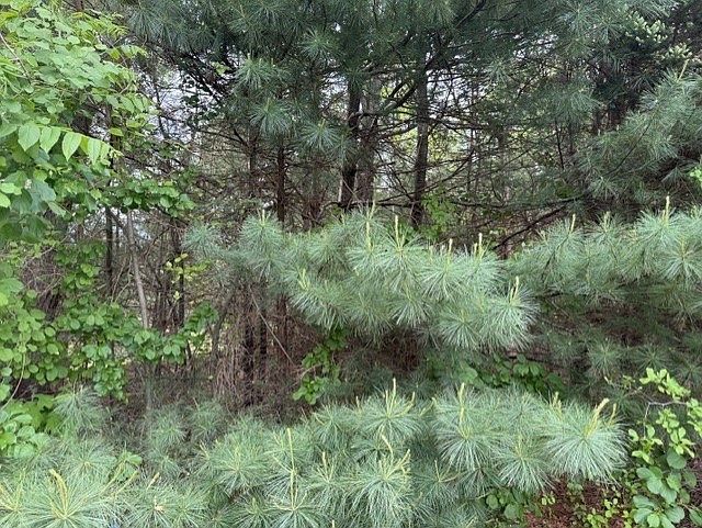 1st image of 148 County Rd