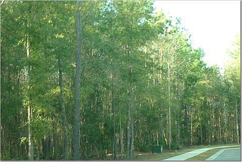View of lot 
