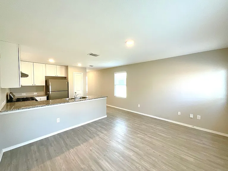 20356 Andalusite Way — Photo 11