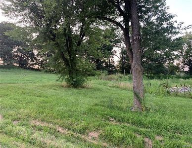 16010 Cow Pasture Rd, Bowling Green, MO, 63334