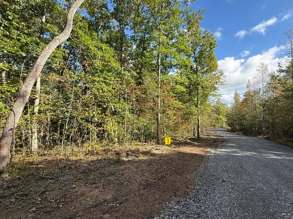 0 Owl Hollow Rd Lot 3, Palmer, TN 37365