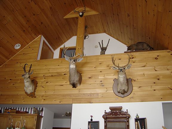 Vaulted Great Room to Loft