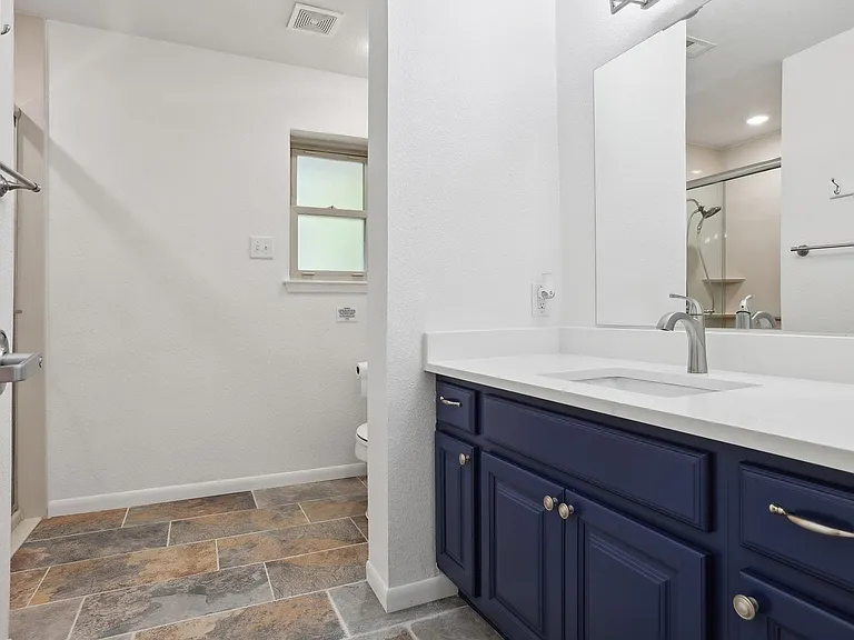 Pointer Ln — Photo 3