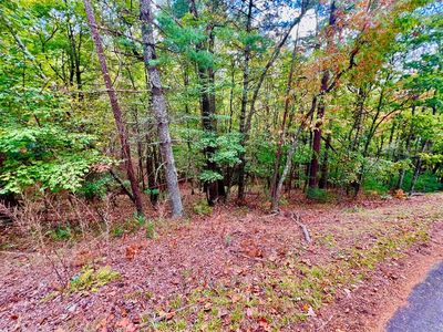 577 Tonto Dr, Ellijay, GA, 30540